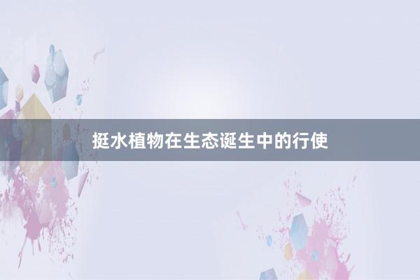 挺水植物在生态诞生中的行使