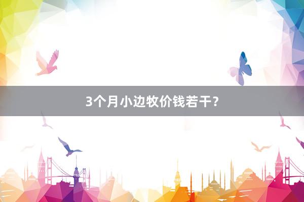 3个月小边牧价钱若干？