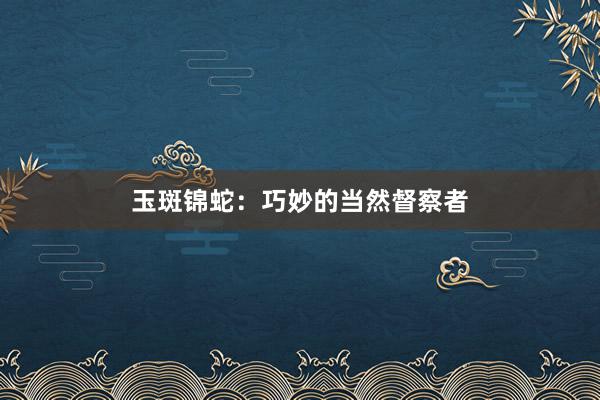 玉斑锦蛇：巧妙的当然督察者