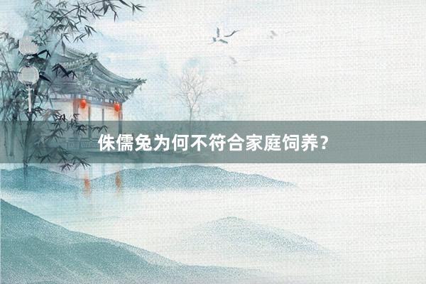 侏儒兔为何不符合家庭饲养？
