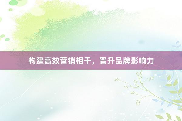 构建高效营销相干，晋升品牌影响力